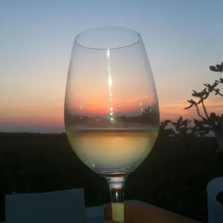 The Sunny Winehouse * Ía